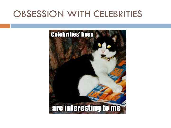 OBSESSION WITH CELEBRITIES 