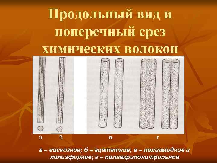 Продольный вид и поперечный срез химических волокон а б в г а – вискозное;