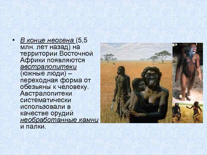  • В конце неогена (5, 5 млн. лет назад) на территории Восточной Африки