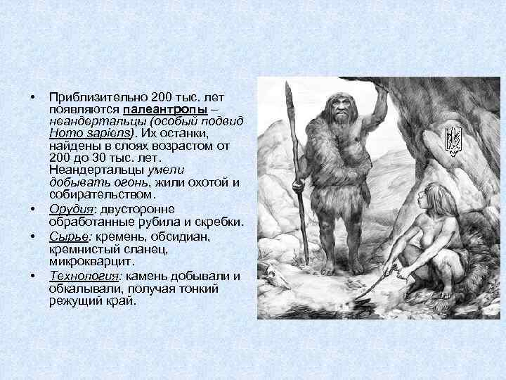  • • Приблизительно 200 тыс. лет появляются палеантропы – неандертальцы (особый подвид Homo