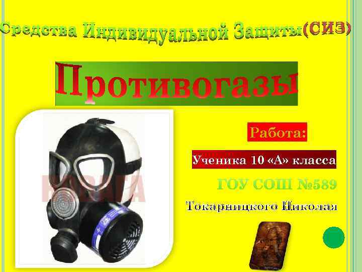 Работа: Ученика 10 «А» класса ГОУ СОШ № 589 Токарницкого Николая 