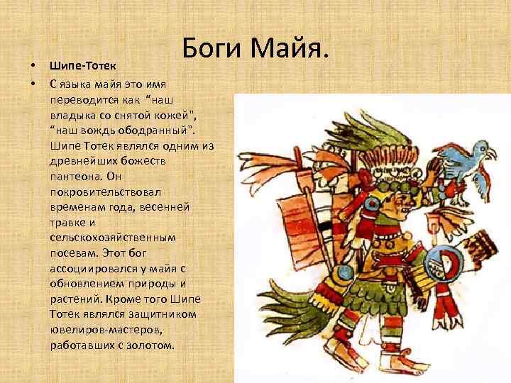  • • Боги Майя. Шипе-Тотек С языка майя это имя переводится как “наш