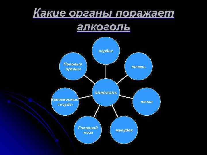 Какие органы поражает алкоголь сердце Половые органы печень алкоголь Кровеносные сосуды Головной мозг почки