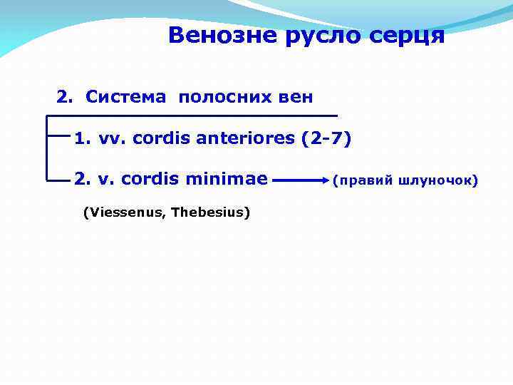 Венозне русло серця 2. Система полосних вен 1. vv. cordis anteriores (2 -7) 2.