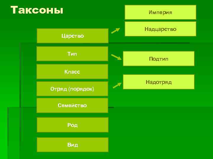 Систематические таксоны биология. Таксоны. Таксоны в биологии. Таксономические единицы в биологии. Таксоны клеток.