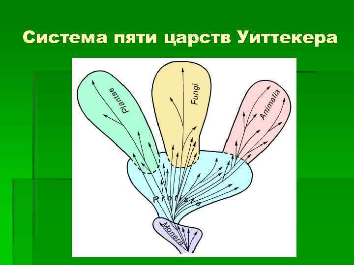 Система пяти царств Уиттекера 