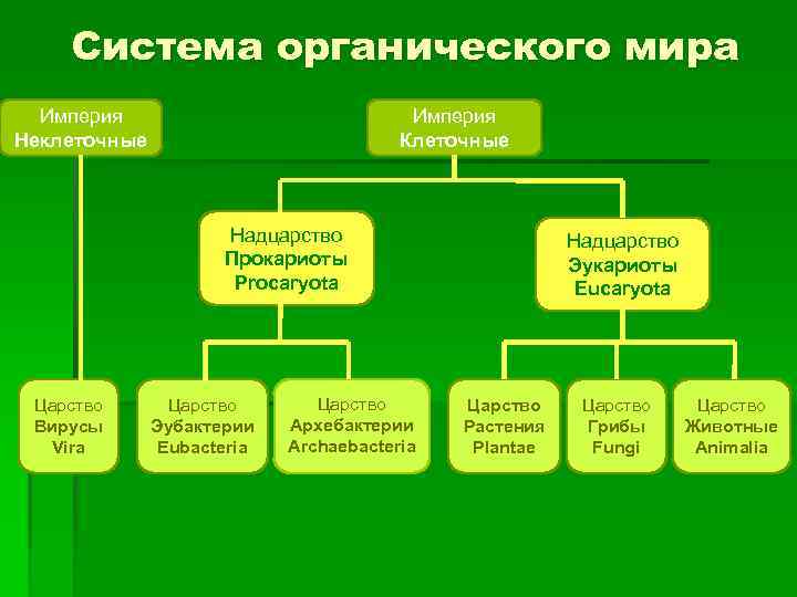 Система живых организмов