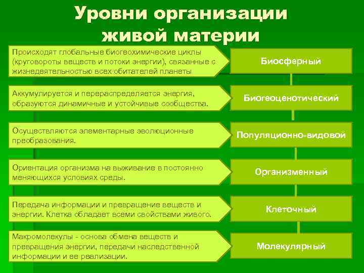 Каковы основные свойства живых тел природы кратко. Уровни организации живой материи схема. Уровни организации живой материи Размерная схема. Свойства и уровни организации живого. Биология таблица уровни организации живых систем.