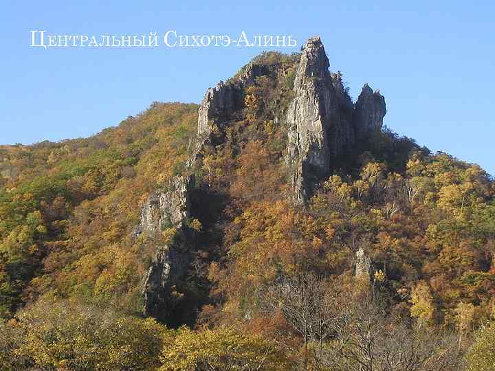 ЦЕНТРАЛЬНЫЙ СИХОТЭ-АЛИНЬ 