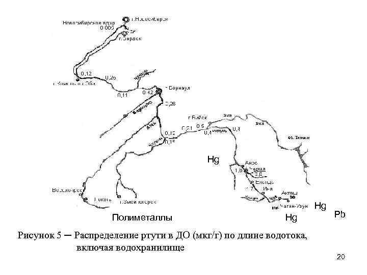 Hg Hg Полиметаллы Hg Pb Рисунок 5 ─ Распределение ртути в ДО (мкг/г) по