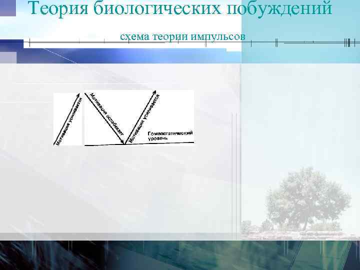 Теория биологических побуждений схема теории импульсов 