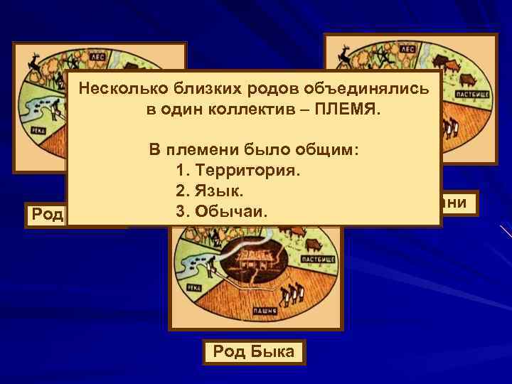 Несколько близких родов объединялись в один коллектив – ПЛЕМЯ. Род Оленя В племени было