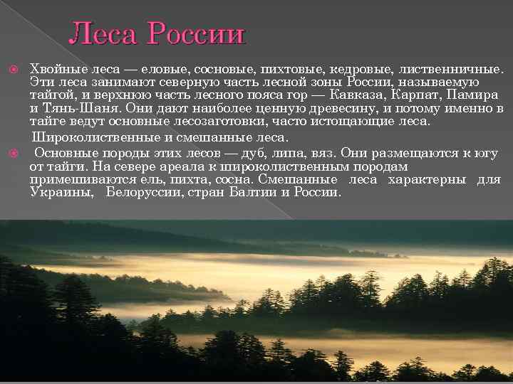 Леса занимают. Леса России описание. Леса России кратко. Леса России доклад. Описание лесов России.