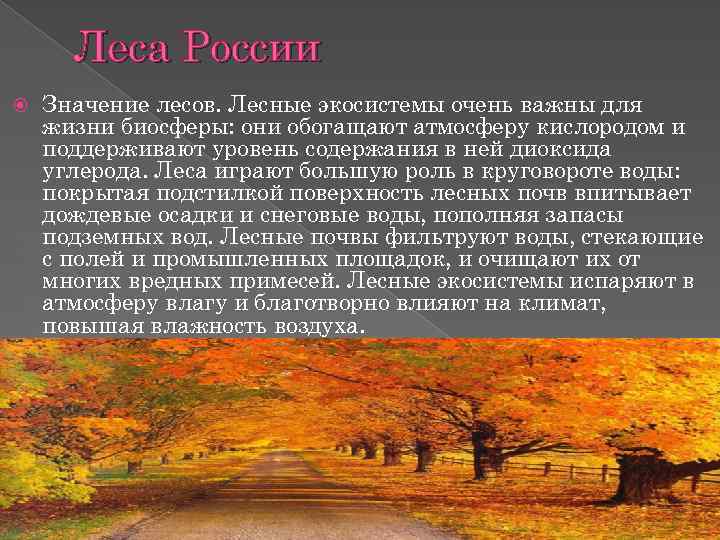 Леса России Значение лесов. Лесные экосистемы очень важны для жизни биосферы: они обогащают атмосферу