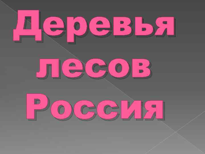 Деревья лесов Россия 