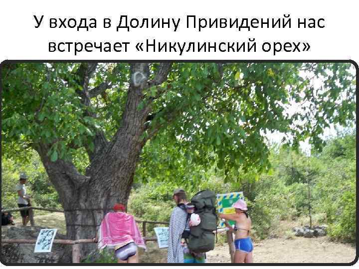 У входа в Долину Привидений нас встречает «Никулинский орех» 