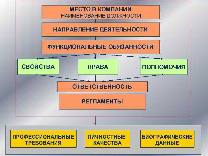 МЕСТО В КОМПАНИИ НАИМЕНОВАНИЕ ДОЛЖНОСТИ НАПРАВЛЕНИЕ ДЕЯТЕЛЬНОСТИ ФУНКЦИОНАЛЬНЫЕ ОБЯЗАННОСТИ СВОЙСТВА ПРАВА ПОЛНОМОЧИЯ ОТВЕТСТВЕННОСТЬ РЕГЛАМЕНТЫ