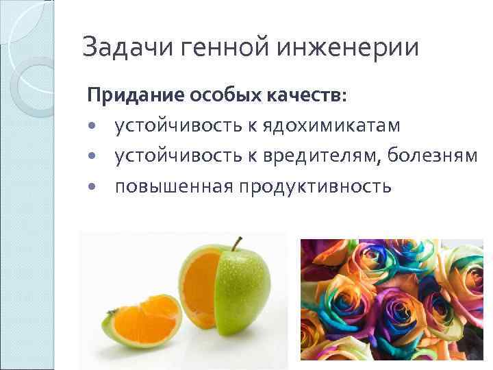 Методы генной инженерии