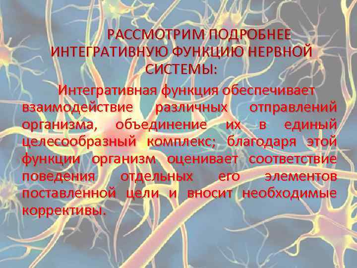 РАССМОТРИМ ПОДРОБНЕЕ ИНТЕГРАТИВНУЮ ФУНКЦИЮ НЕРВНОЙ СИСТЕМЫ: Интегративная функция обеспечивает взаимодействие различных отправлений организма, объединение