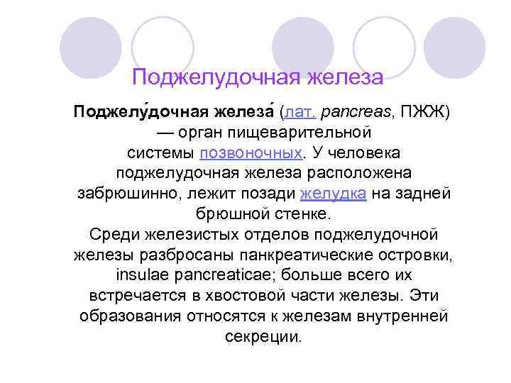 Поджелудочная железа Поджелу дочная железа (лат. pancreas, ПЖЖ) — орган пищеварительной системы позвоночных. У