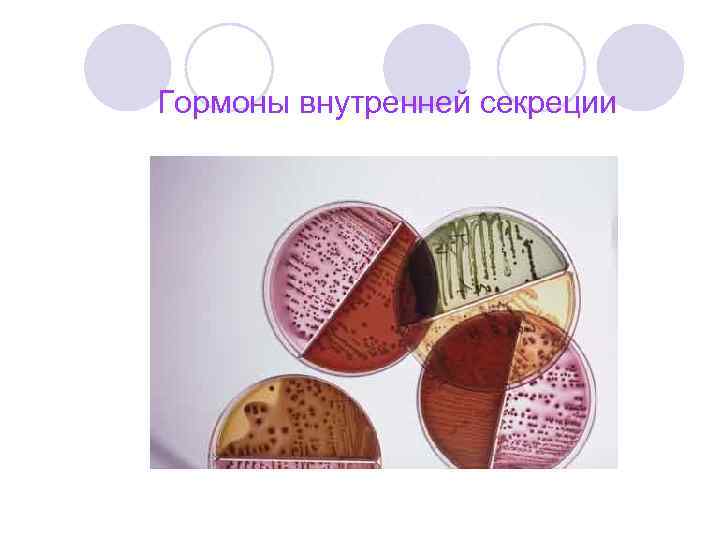 Гормоны внутренней секреции 
