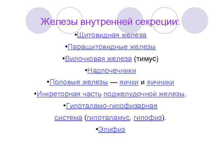 Железы внутренней секреции: • Щитовидная железа • Паращитовидные железы • Вилочковая железа (тимус) •