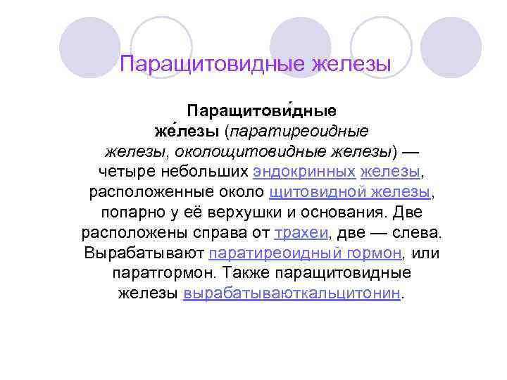 Паращитовидные железы Паращитови дные же лезы (паратиреоидные железы, околощитовидные железы) — четыре небольших эндокринных