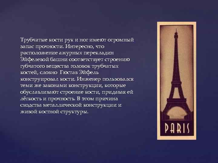 Трубчатые кости рук и ног имеют огромный запас прочности. Интересно, что расположение ажурных перекладин