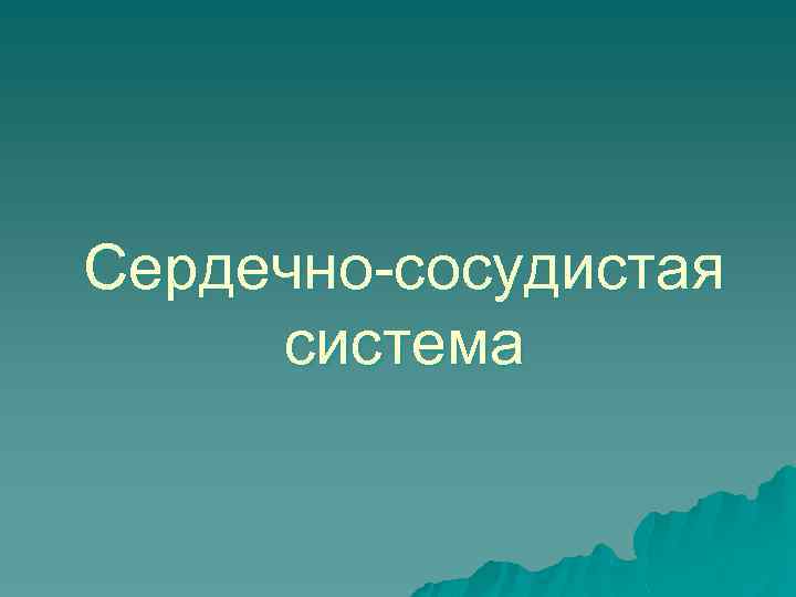 Сердечно-сосудистая система 