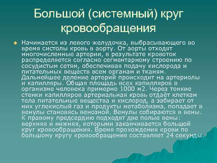 Большой (системный) круг кровообращения u Начинается из левого желудочка, выбрасывающего во время систолы кровь