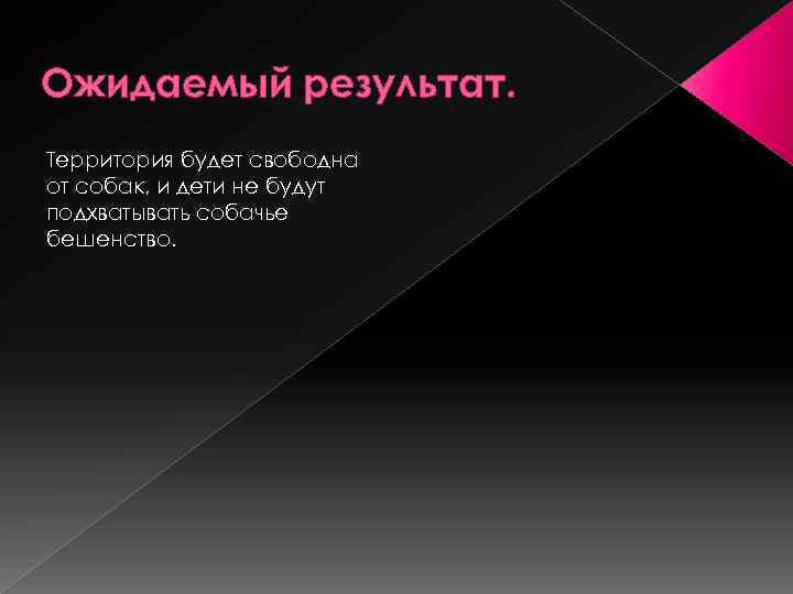 Ожидаемый результат. Территория будет свободна от собак, и дети не будут подхватывать собачье бешенство.