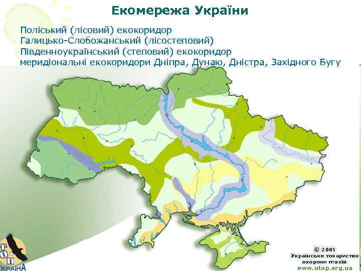 Екомережа України Поліський (лісовий) екокоридор Галицько-Слобожанський (лісостеповий) Південноукраїнський (степовий) екокоридор меридіональні екокоридори Дніпра, Дунаю,
