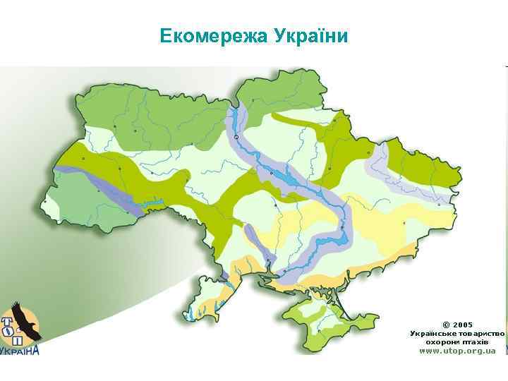 Екомережа України 