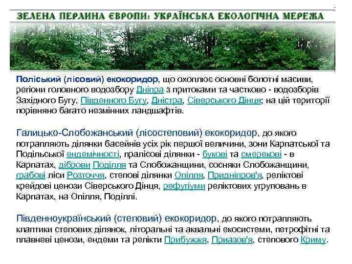 Поліський (лісовий) екокоридор, що охоплює основні болотні масиви, регіони головного водозбору Дніпра з притоками