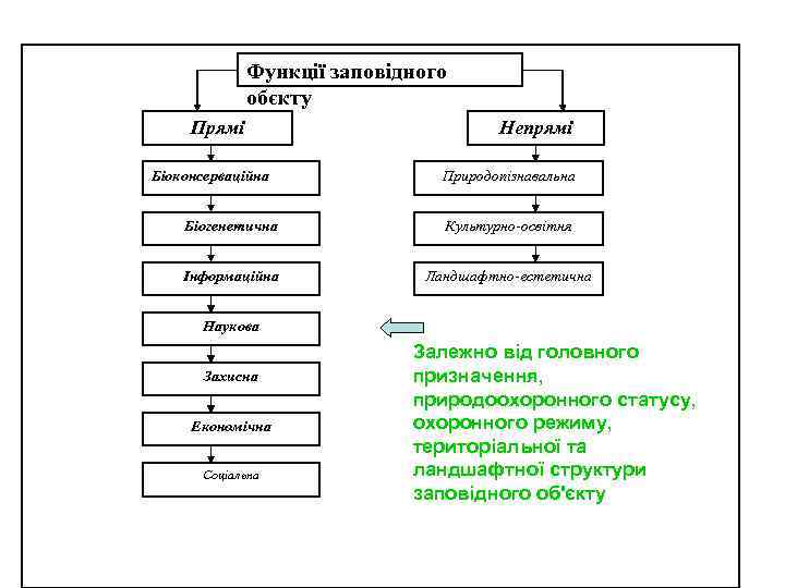 Функції заповідного обєкту Прямі Біоконсерваційна Непрямі Природопізнавальна Біогенетична Культурно-освітня Інформаційна Ландшафтно-естетична Наукова Захисна Економічна