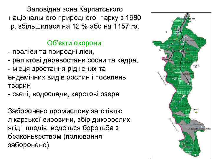 Заповідна зона Карпатського національного природного парку з 1980 р. збільшилася на 12 % або