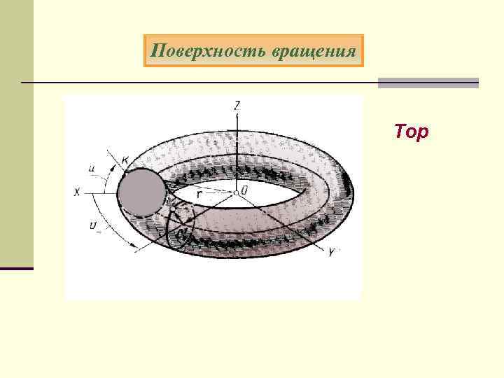 Поверхность вращения Тор 