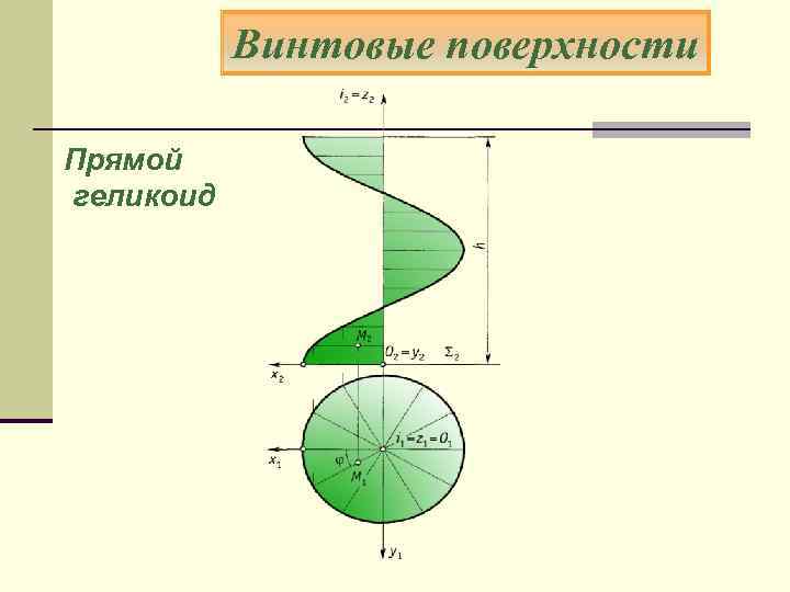 Винтовые поверхности Прямой геликоид 