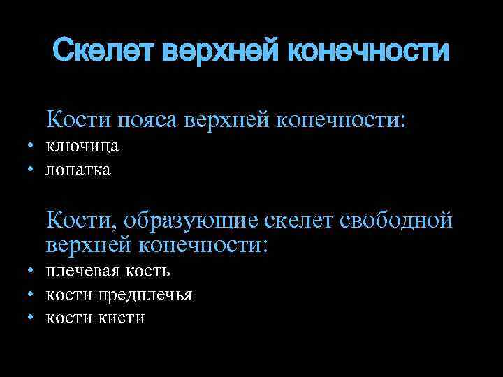 Скелет верхней конечности Кости пояса верхней конечности: • ключица • лопатка Кости, образующие скелет