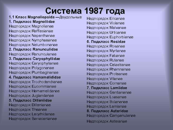 Система 1987 года 1. 1 Класс Magnoliopsida —Двудольные 1. Подкласс Magnoliidae Надпорядок Magnolianae Надпорядок