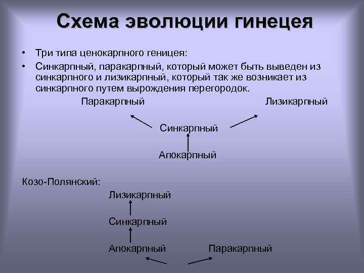 Схема эволюции гинецея • Три типа ценокарпного геницея: • Синкарпный, паракарпный, который может быть