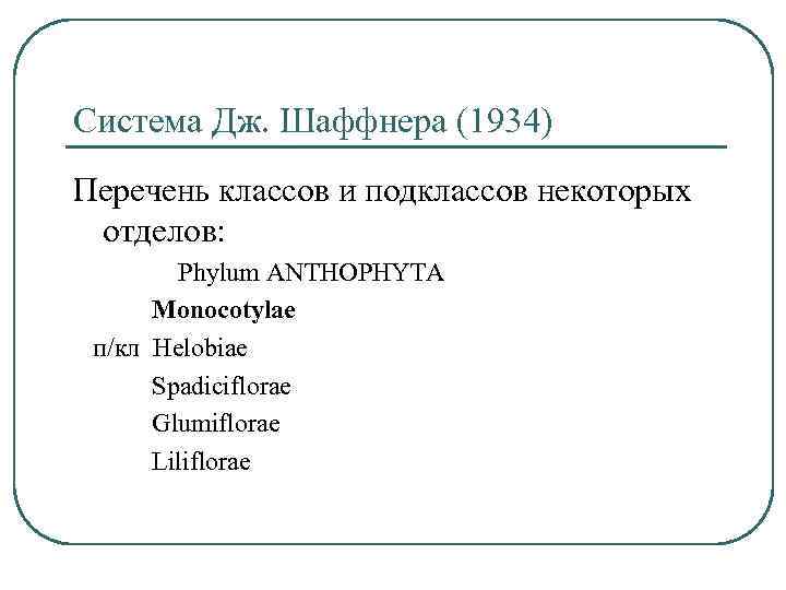 Система Дж. Шаффнера (1934) Перечень классов и подклассов некоторых отделов: Phylum ANTHOPHYTA Monocotylae п/кл