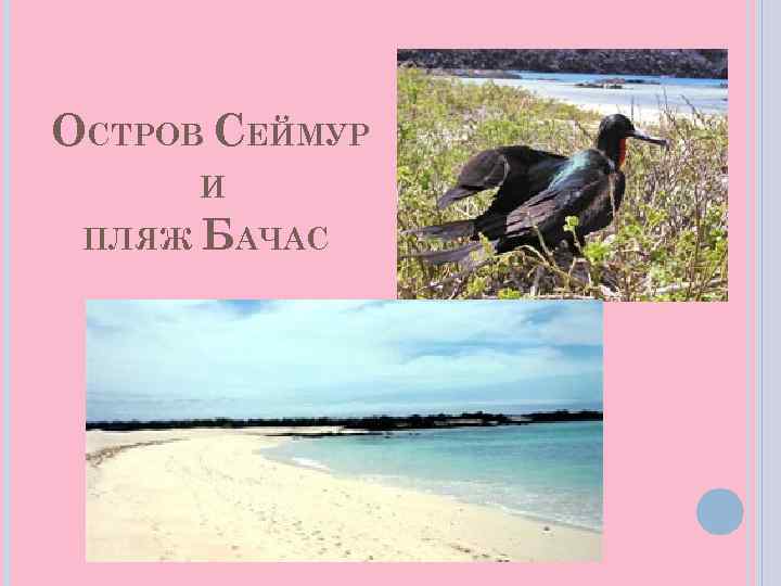 ОСТРОВ СЕЙМУР И ПЛЯЖ БАЧАС 