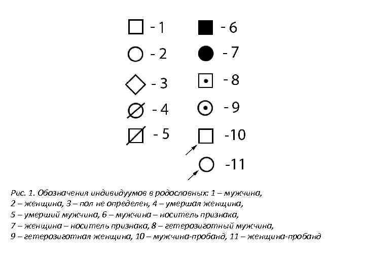 Рис. 1. Обозначения индивидуумов в родословных: 1 – мужчина, 2 – женщина, 3 –