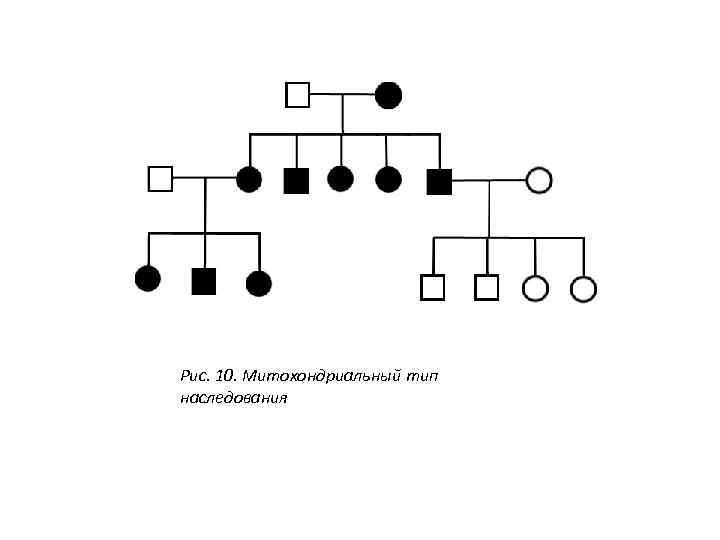 Рис. 10. Митохондриальный тип наследования 