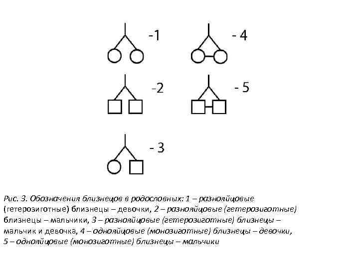 Рис. 3. Обозначения близнецов в родословных: 1 – разнояйцовые (гетерозиготные) близнецы – девочки, 2