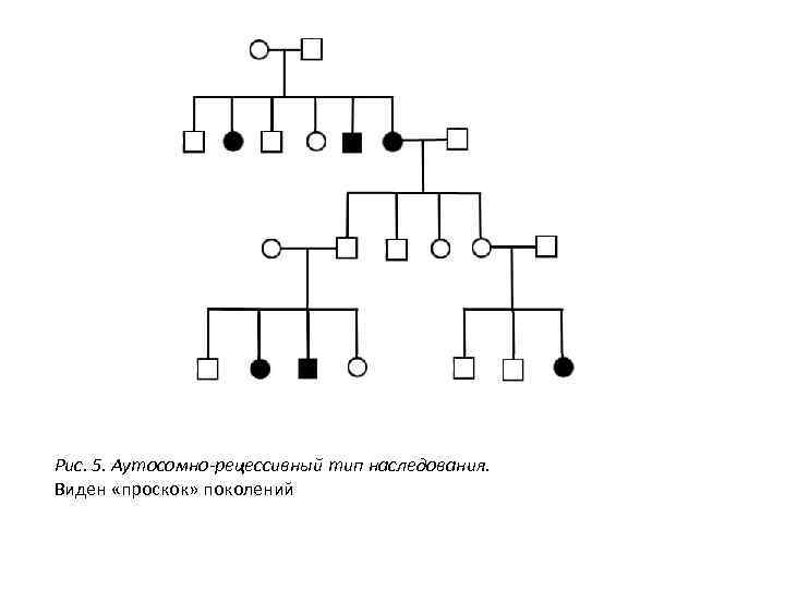 Рис. 5. Аутосомно-рецессивный тип наследования. Виден «проскок» поколений 