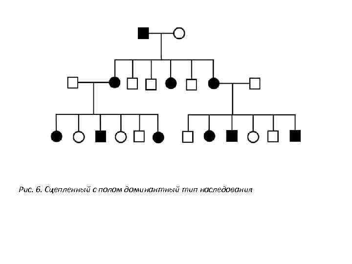 Рис. 6. Сцепленный с полом доминантный тип наследования 