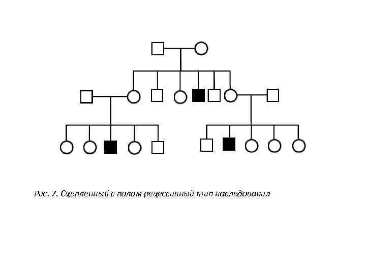 Рис. 7. Сцепленный с полом рецессивный тип наследования 
