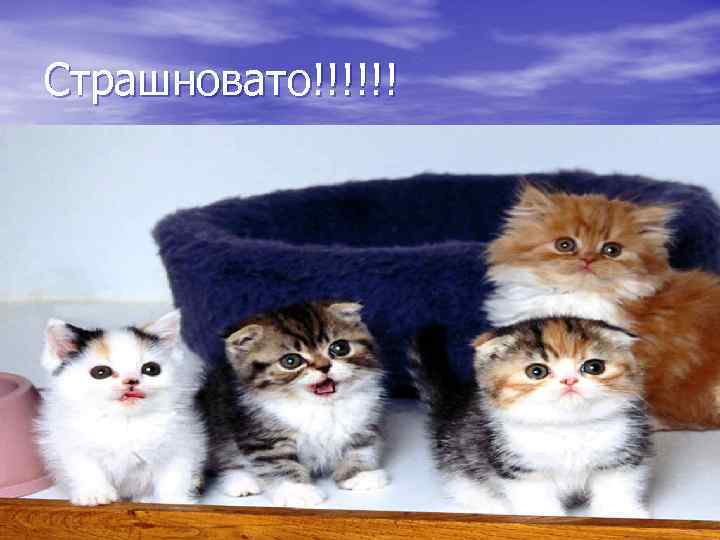 Страшновато!!!!!! 